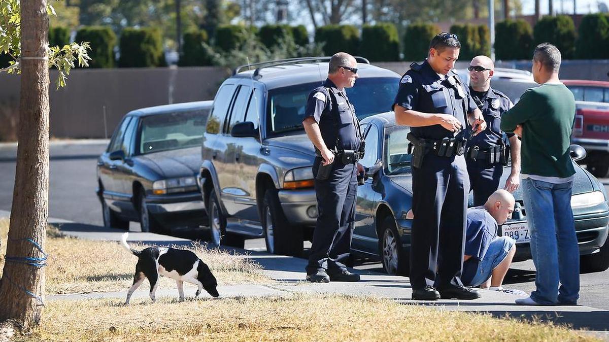 
A dispute apparently over dog poop led to the arrest of a man staying at a Pasco apartment complex. One man was treated for small cuts after the incident the 800 block of West Ruby Street on Monday.

