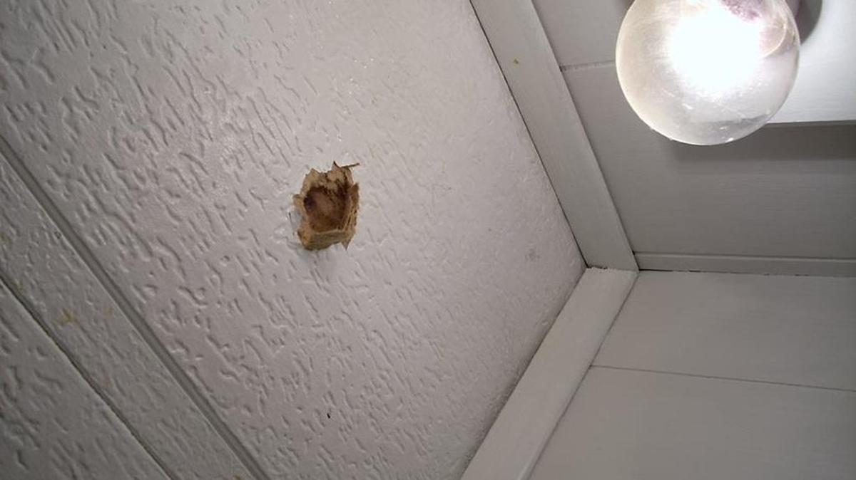 A bullet pierced the roof and ceiling of a mobile home at 4815 W. Clearwater Ave. on July 4 after someone apparently fired a gun into the air.