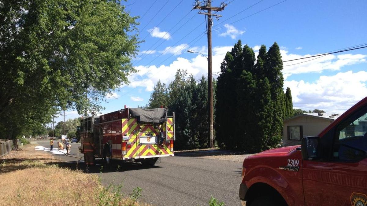 Kennewick fire crews check out a power outage caused by a squirrel near Morain Street and North 19th on Monday morning that knocked out power to Southgate Elementary School, the Sun Meadows Mobile Home Park and neighboring homes. Some internet connections around Kennewick also were lost. Schools officials were told to expect power back before noon so students were kept at school.