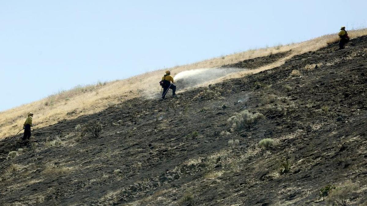 Firefighters work on keeping hot spots under control Wednesday on a fire that ended up burning 504 acres near Benton City.