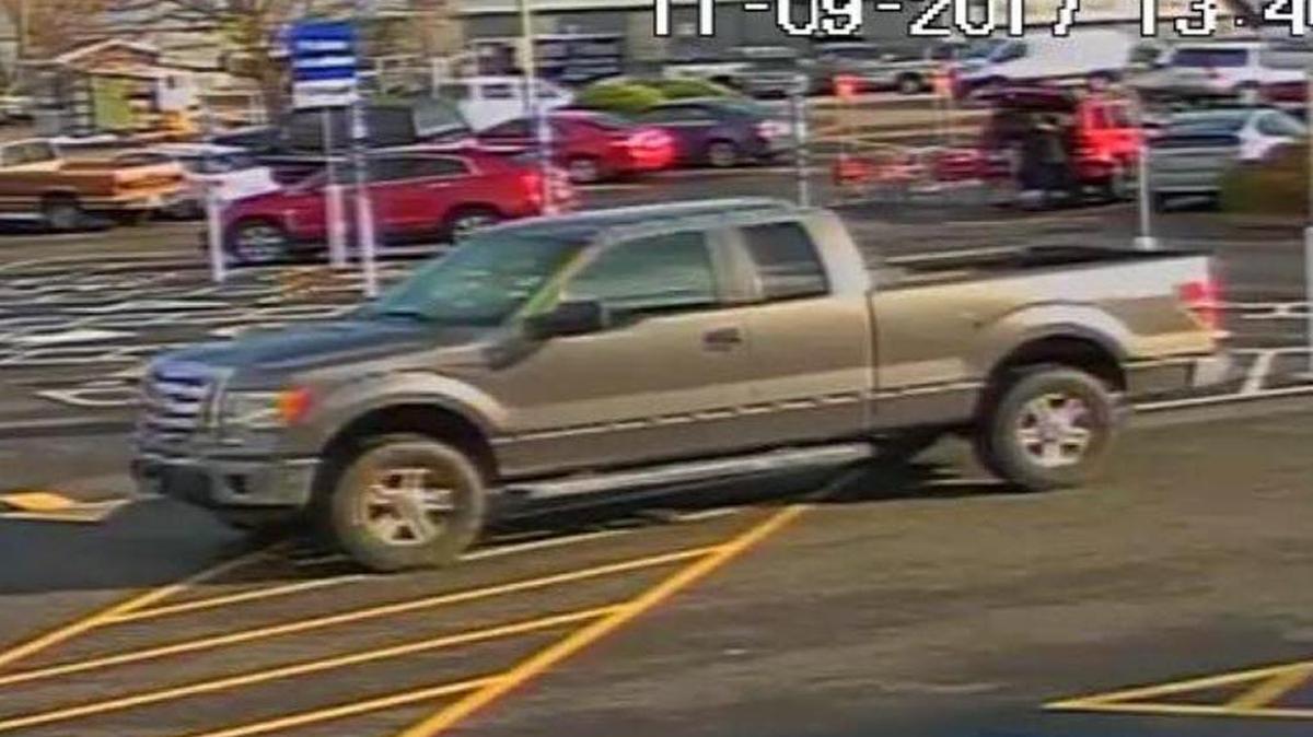 Richland police are looking for the truck an shoplifter drove away in after leaving a cart full of items.