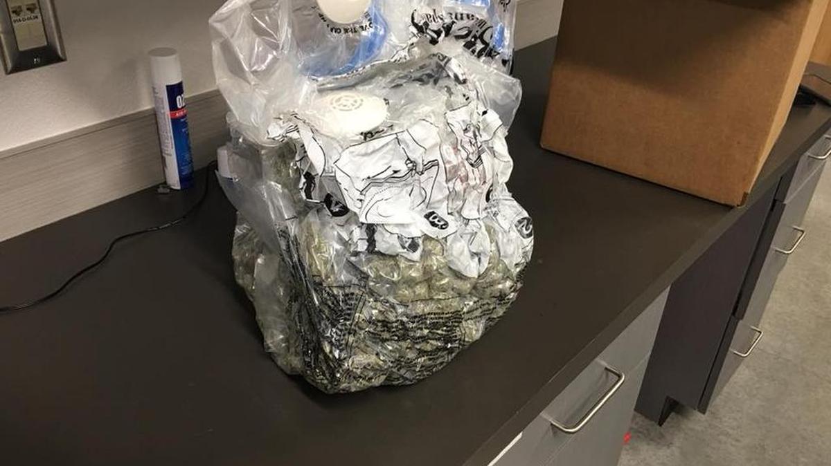 Pasco police stopped this package of pot at the post office before it made it’s way to Massachusetts.