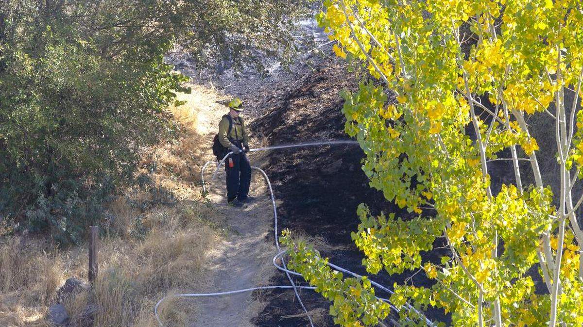 Firefighters work to put out a fire at Zintel Canyon on Thursday afternoon in Kennewick. This is the eighth fire to occur in Zintel Canyon since the spring. Police and fire officials are searching for answers.
