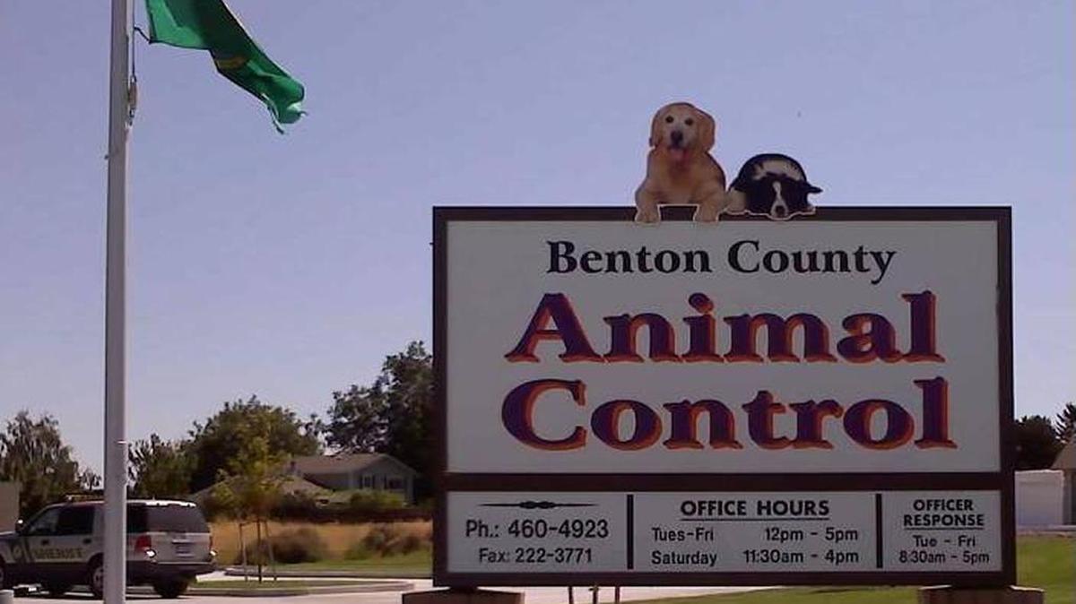 Benton County deputies donned gloves and protective footwear, and county animal control officers wore knee-high boots and protective clothing when they entered a home with six dead pets. The owner is charged with animal cruelty.