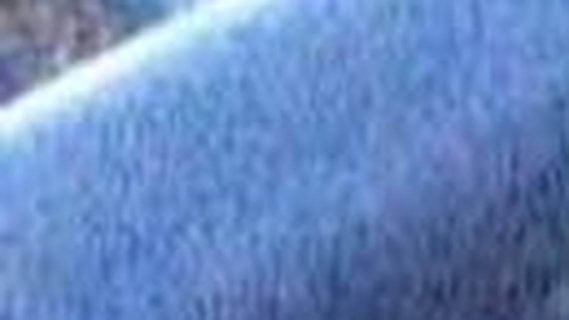 A Benton City woman sent the cyber posse on the trail of her missing filly, which she said was stolen from her home Saturday night.