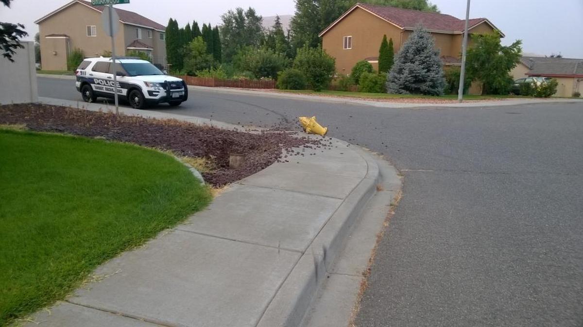 West Richland police are looking for the vehicle that took out this fire hydrant early Saturday morning.
