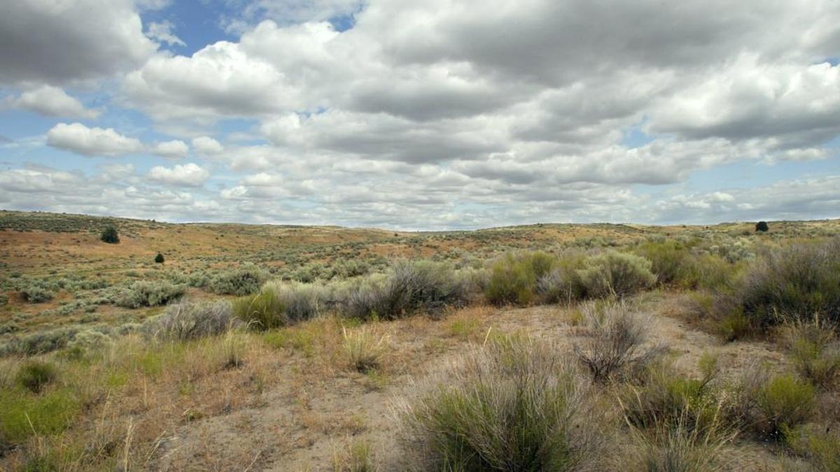 Two men were seriously injured over the weekend by the same man at Juniper Dunes Wilderness Area.