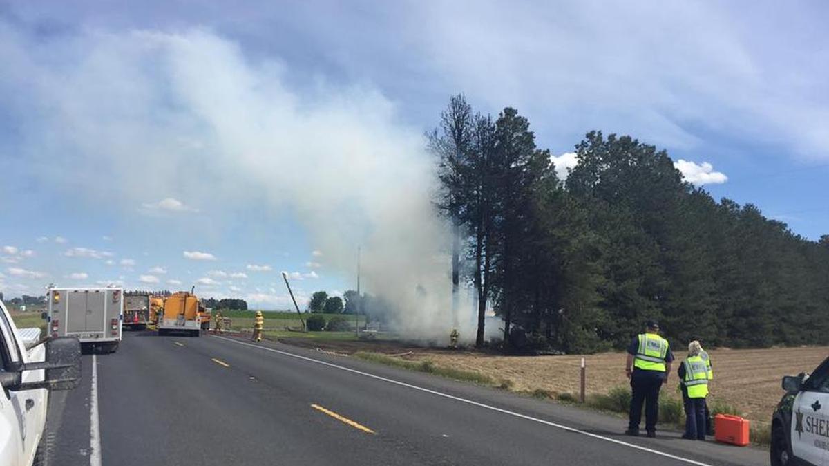 Fire burns tress after a fatal semi-truck collision along Highway 17 on Monday.