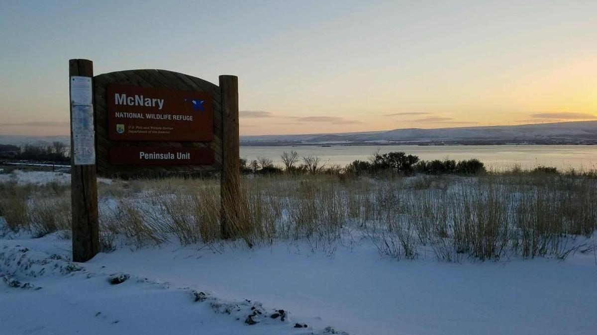 The body of a Burbank woman was found Friday by some hunters in a slough area near Burbank in Walla Walla County.