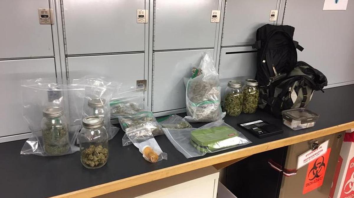 Richland police discovered a cache of marijuana, along with drug paraphernalia, weapons and cash, after real-time video messages led them to a Richland motel. Seven people were in the room Nov. 23.