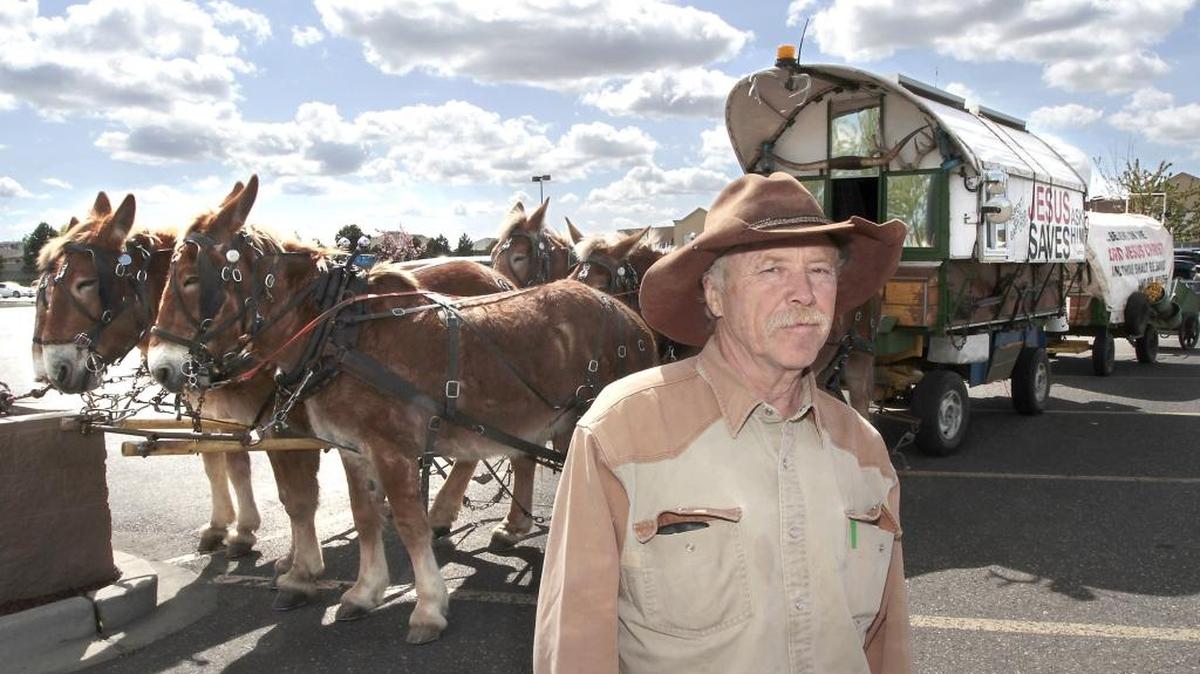 Randy Boehmer of Arizona takes a break from his cross-country travel in the Kennewick Walmart parking lot with his covered wagons and team of five Belgian draft mules. Boehmer started his travels from Bedford, Indiana on April 1, 2008, after the death of two family members made him realize, “the futility at chasing things of the world,” he said. He decided to travel in the covered wagon and tell people about God after learning how to put horseshoes on the animals and attending a Bible school. So far, he’s been in 27 states and plans his route to be north in the summer and south in the winter. He expects to be the Tri-Cities area for a couple days after stocking up on his food supplies. Then he said he’s headed to Montana.
