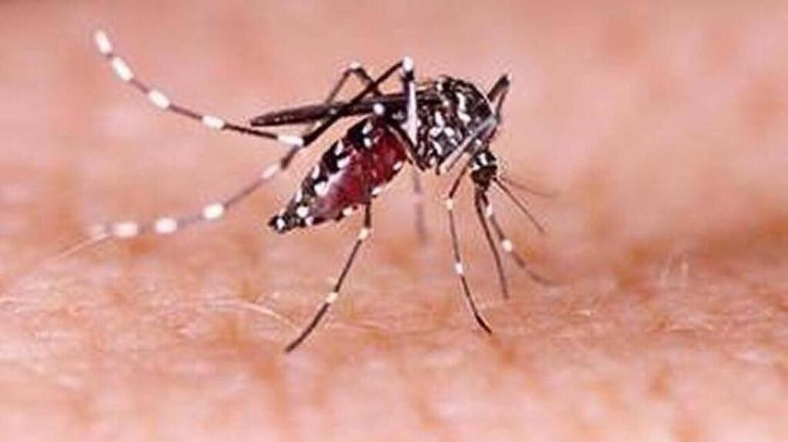 Tri-Cities leads WA in West Nile virus. Could be worst season in years