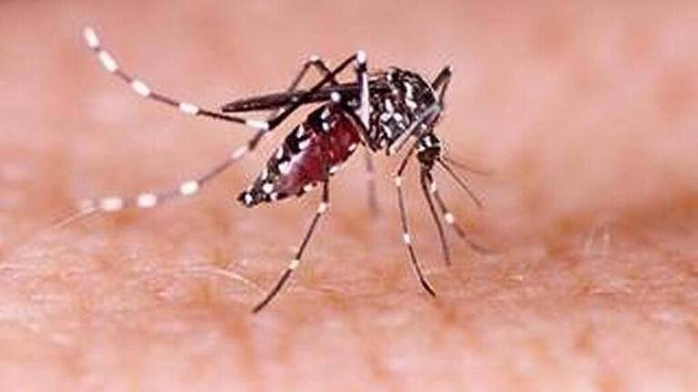 Tri-Cities leads WA in West Nile virus. Could be worst season in years