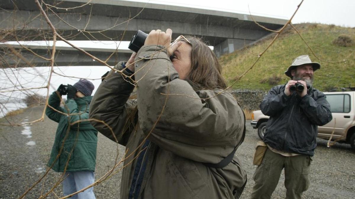 Bird watchers flock to the Tri-Cities every year for the Christmas Bird Count organized by the National Audubon Society’s Science Center annually since 1900.