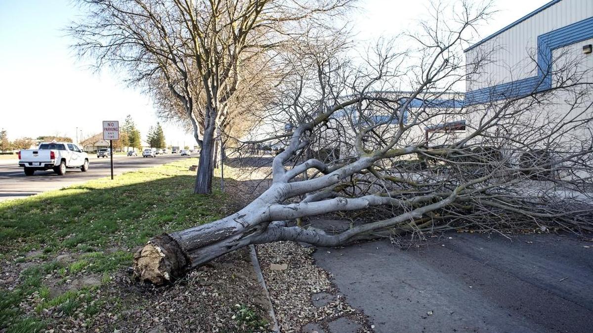 A Kennewick couple is accused of insurance fraud after they bought an insurance policy and reported wind damage the next day.