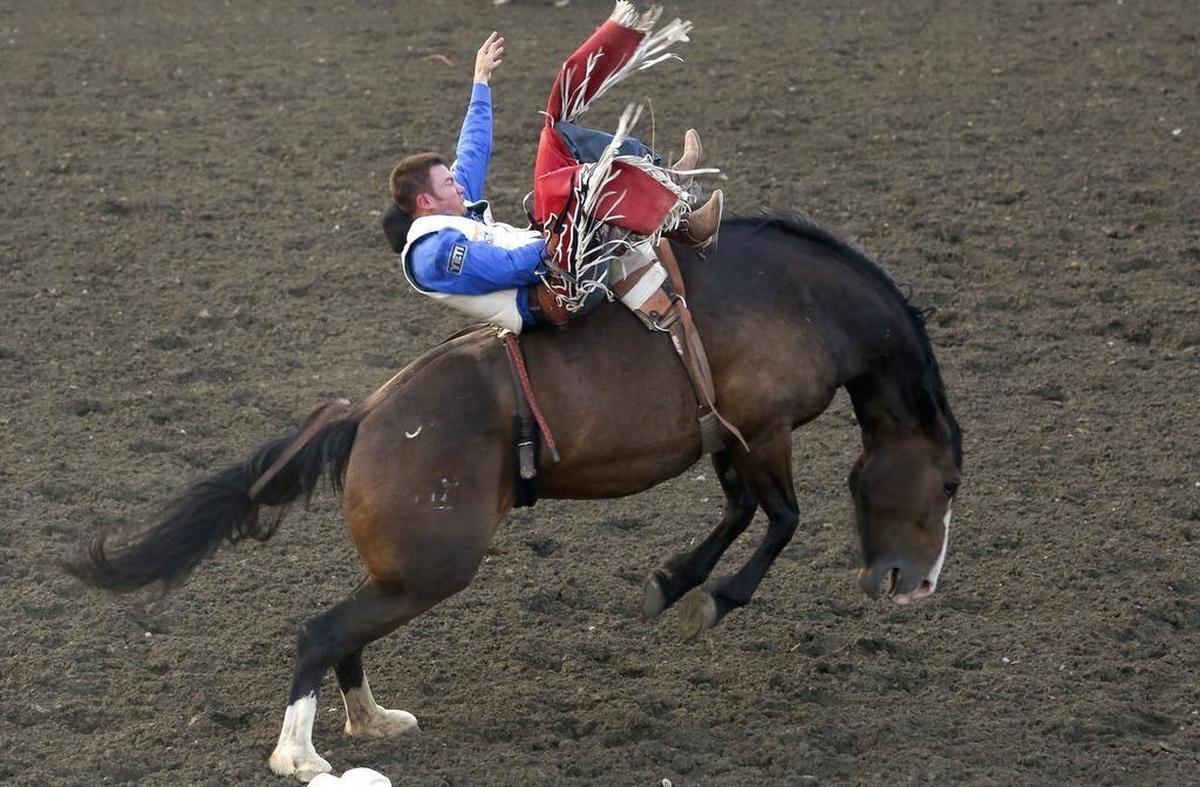 August 23, 2018 - Steven Peebles, of Redmond, Ore., scored an 81 on Martha at the Horse Heaven Round-Up in Kennewick. He had the top score of the night.