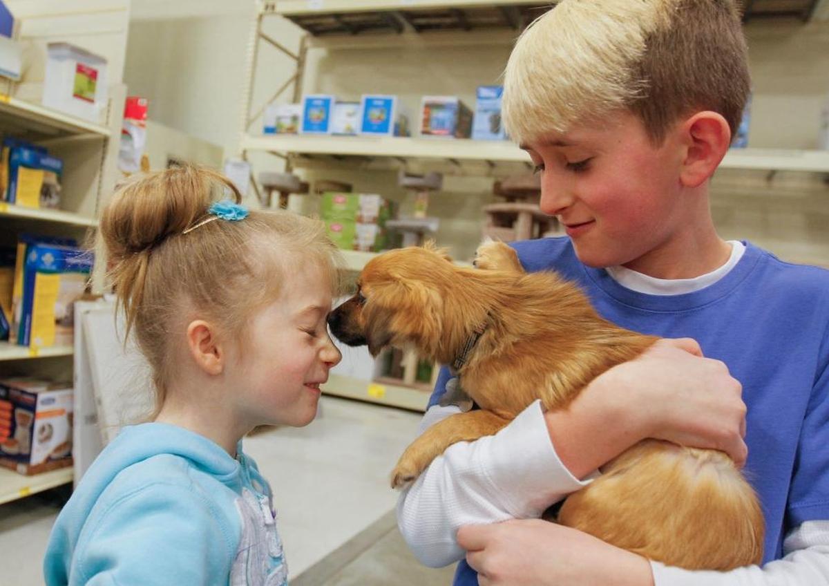 Rubi Cox, 6, closes her eyes as, Ginger, her new dog, licks her face. Rubi's brother Joe Cox holds on to Ginger inside PetSmart in Kennewick on Saturday during a pet adoption event. Ginger was the 1,000th arranged pet adoption through PetSmart’s Kennewick branch this year. Cox was accompanied by her parents Samantha and Michael Cox of Richland.
