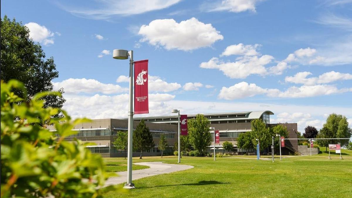 WSU Tri-Cities