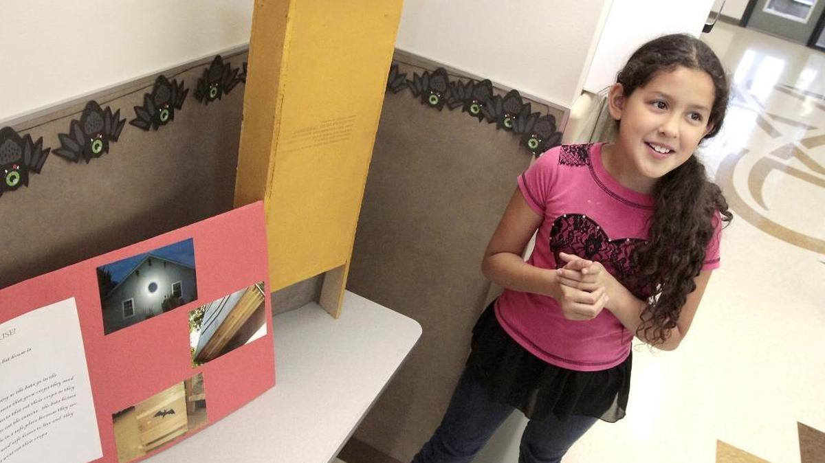 Fifth-grader Jessica Garcia talks Friday about her bat house project she completed for the Dia de los Scientists event at the Marie Curie STEM Elementary School in Pasco.