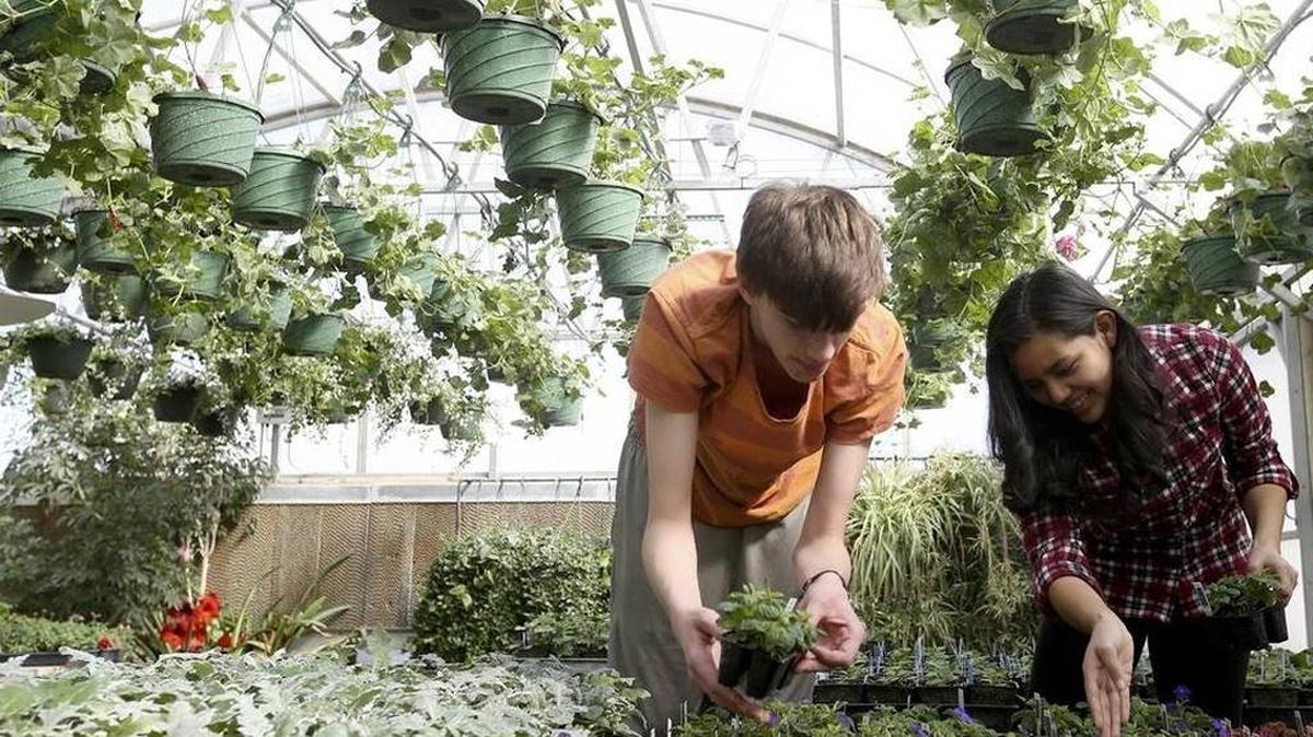 River View High School students work in a greenhouse during class this past spring. The Finley School District recently secured the matching dollars needed to receive a $2.8 million state grant aimed at improving facilities such as the greenhouse for science, technology, engineering and math, or STEM, education.