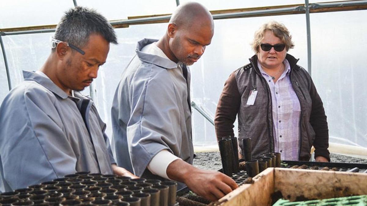 Inmates Khamkheuane Suannoy, left, and Jerome Watson working under the supervision of WSU Tri-Cities student Gretchen Graber, far right.