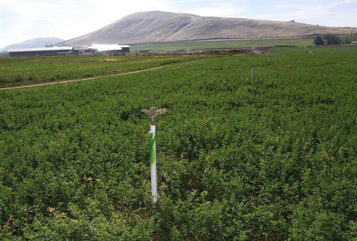 The Richland School Board approved spending $3.89 million on Tuesday night to buy 70 acres of land near the intersection of Keene Road and Belmont Boulevard. The land is next to the site of the fourth middle school which is under construction in the background.