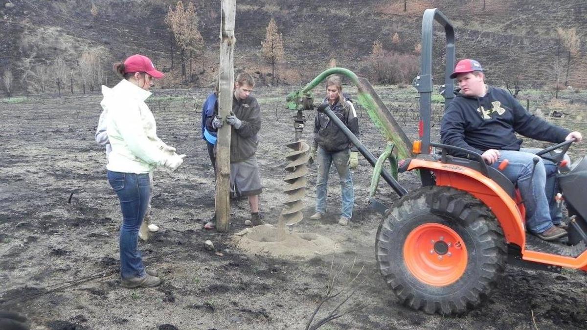 FFA students from several Tri-City area high schools place new fence posts along property burned during the wildfires that devastated the community of Chelan in August. Kennewick FFA organized the trip, using a grant to pay for supplies and raising money to help students who lost fair animals in the blaze.