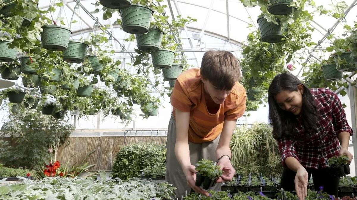 River View High School freshman Justin Jones, left, and Haydee Guzman tend to plants in the greenhouse during horticulture class at the school in Finley.
