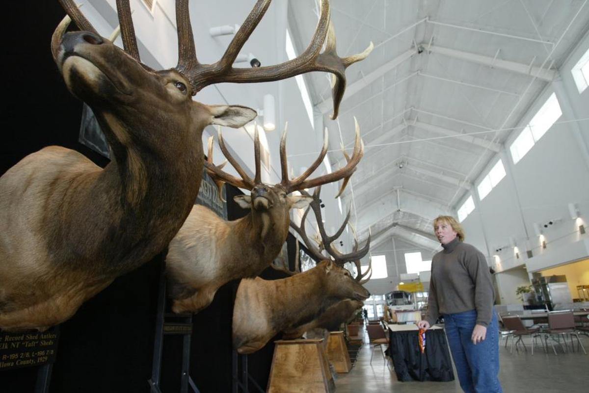 This year’s long-popular Tri-Cities Sportsmen Show has been canceled because of COVID restrictions.