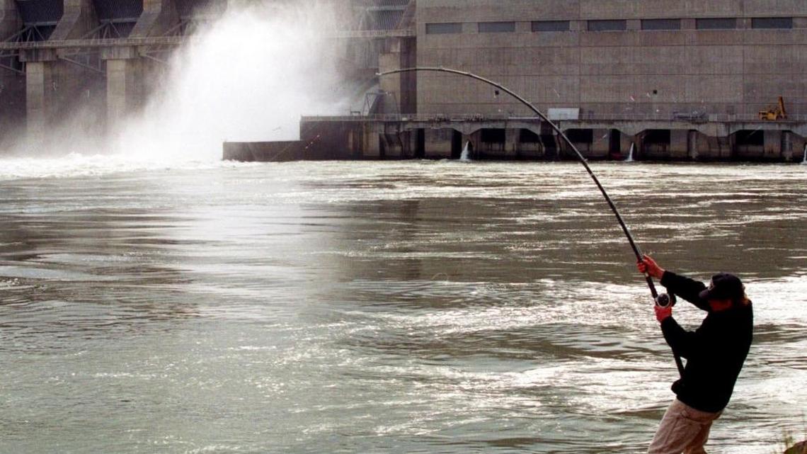 An angler hauls in a catch below Lower Granite Dam on the Snake River near Clarkston.