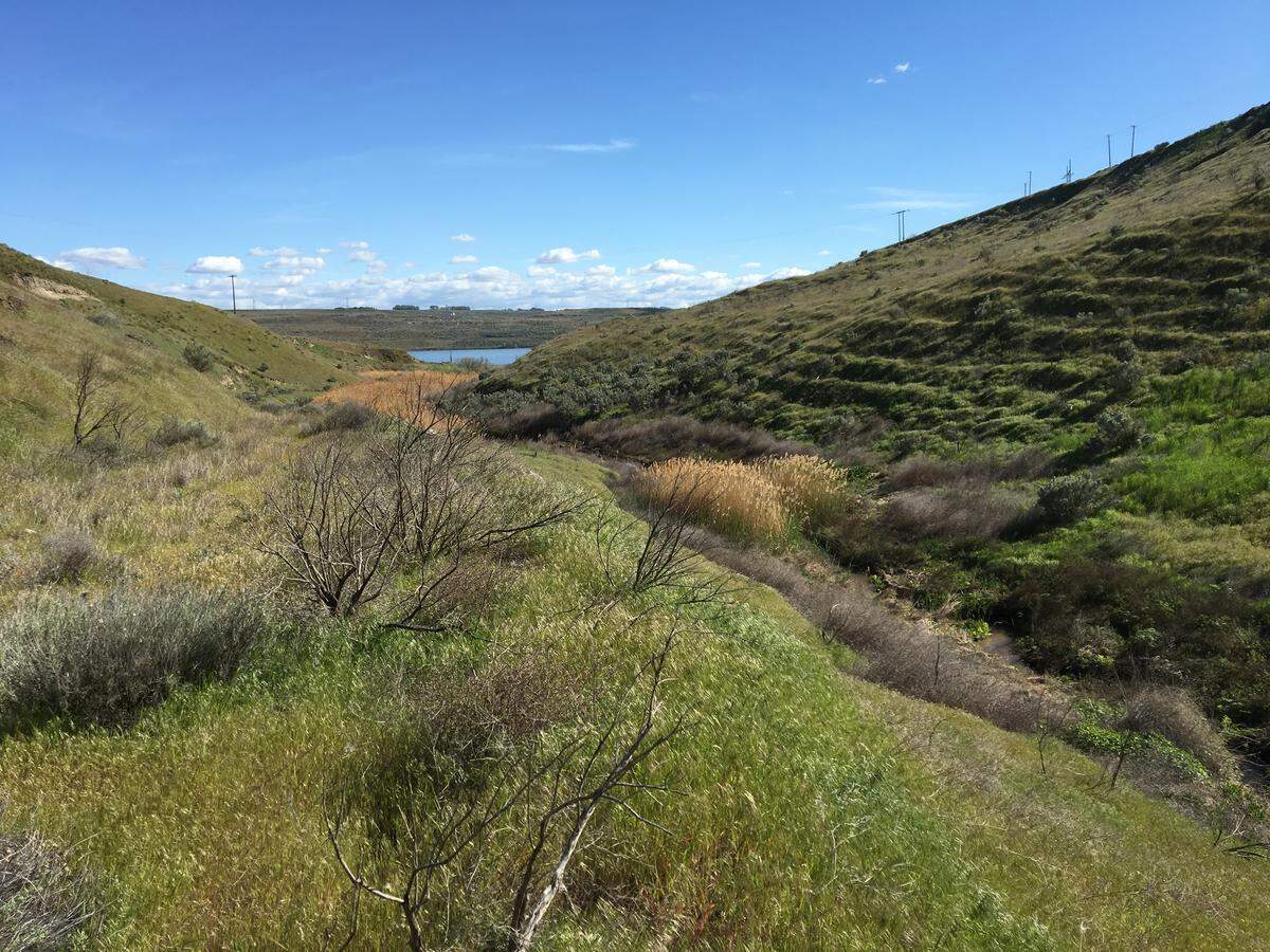 The view from Switzler Canyon looking south toward the Columbia River. The Washington Department of Ecology, Benton and Franklin counties are contemplating a 44,000 acre-foot reservoir to provide irrigators with more reliable access to water in the summer.
