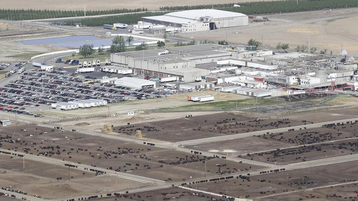 Workers at Tyson’s Wallula beef plant ended their union in a vote overseen by the National Labor Relations Board. The vote was in November but counted this week.