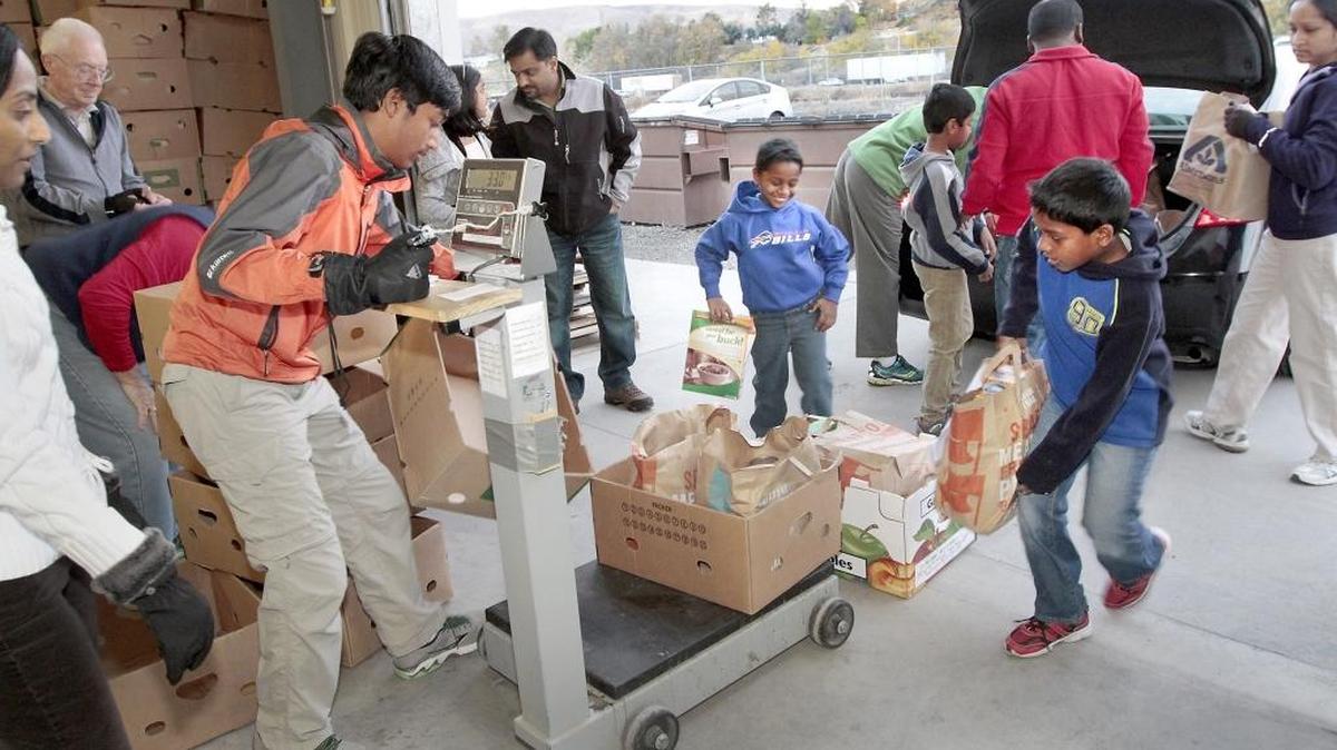 Rohand Nune, 6, left, and his brother, Navaj, 8, carry donated food to a scale for Viknesh Kasthuri, 15, to weigh Tuesday morning at the Richland branch of the Tri-Cities Food Bank. They are part of a Hindu Society of Eastern Washington youth group that holds an annual food drive on Halloween. They collect food and money instead of candy. About a dozen youngsters and their parents collected 2,838 pounds of nonperishable food and $1,340 in cash donations. Watch a video at: www.tricityherald.com/video.