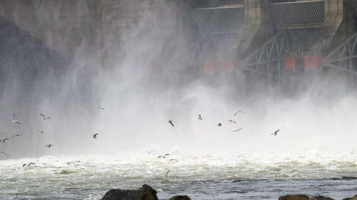 Gulls in search of easy eating circle the turbulent water below Little Goose Dam on the Snake River where water is running over the spillways with spring runoff.