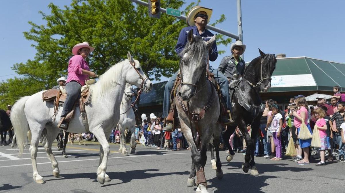 Dancing horses make their way down West Lewis Street in Pasco during the 2015 Cinco de Mayo Parade.