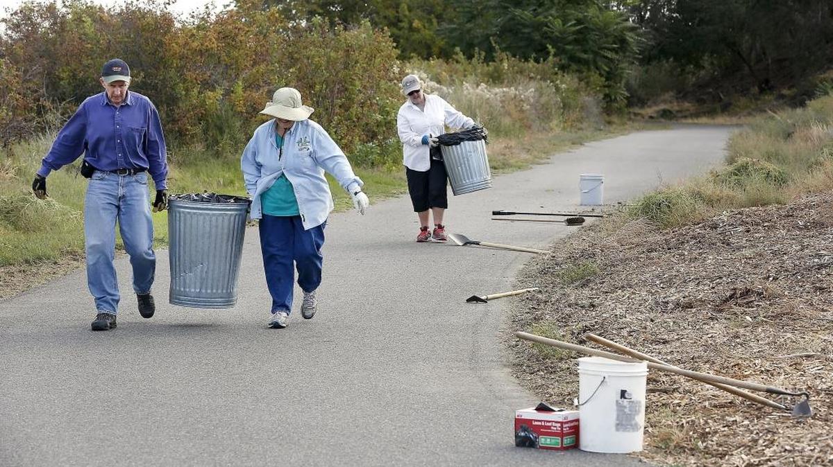 Volunteers Dave Beach, Carol Berry and Merry Loew, from left, carry away trash cans filled with tack weed they scraped from the edges of the Sacagawea Heritage Trail near Wye Park in Richland. It was their last day for removing the puncture vine near the paved trail popular with bicyclists and walkers. The dried thorny tackweed seeds have a propensity for sticking into bicycle tires and shoes. Watch a video at tricityherald.com/video.