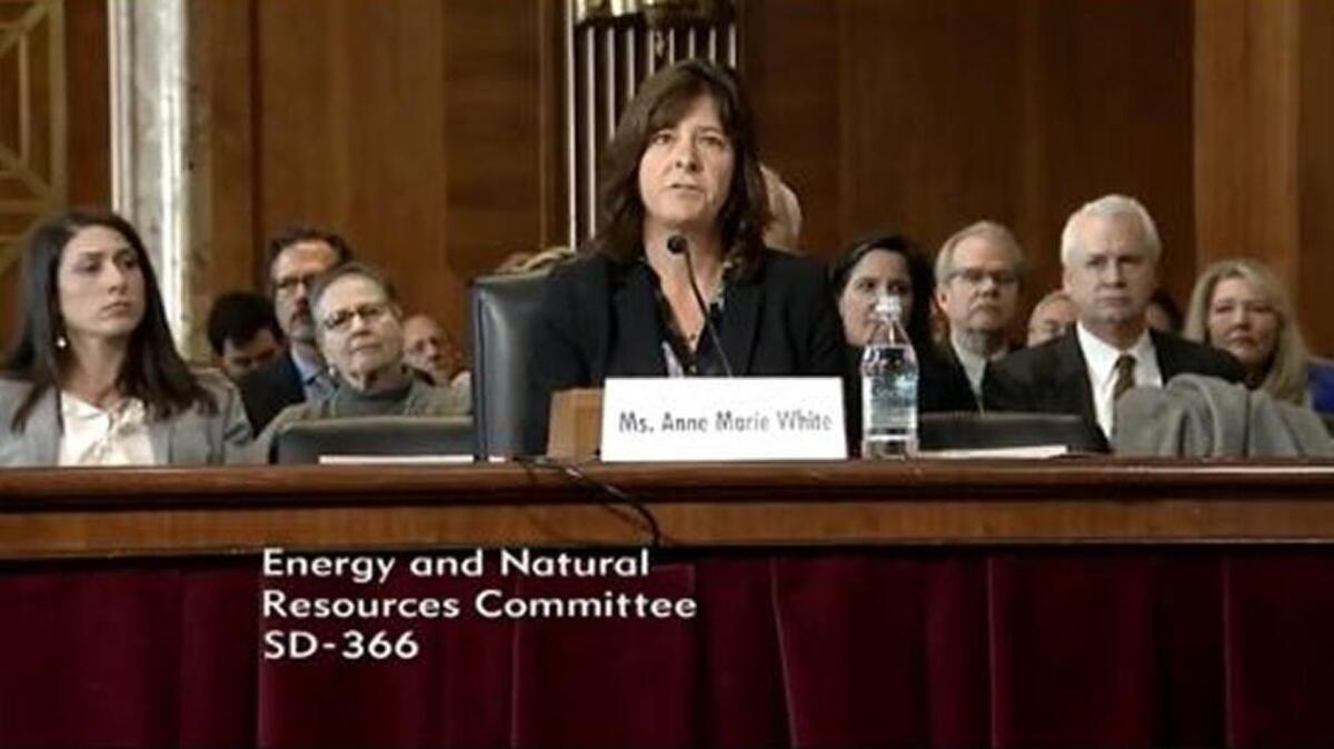 Anne White testified during a confirmation hearing Jan. 18 before the Senate Energy and Natural Resources Committee. She is the White House nominee for Department of Energy assistant secretary of energy for environmental management.
