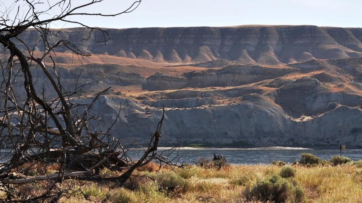 Learn about progress to clean up the Hanford nuclear reservation and protect the Columbia River at an online question and answer session April 12.