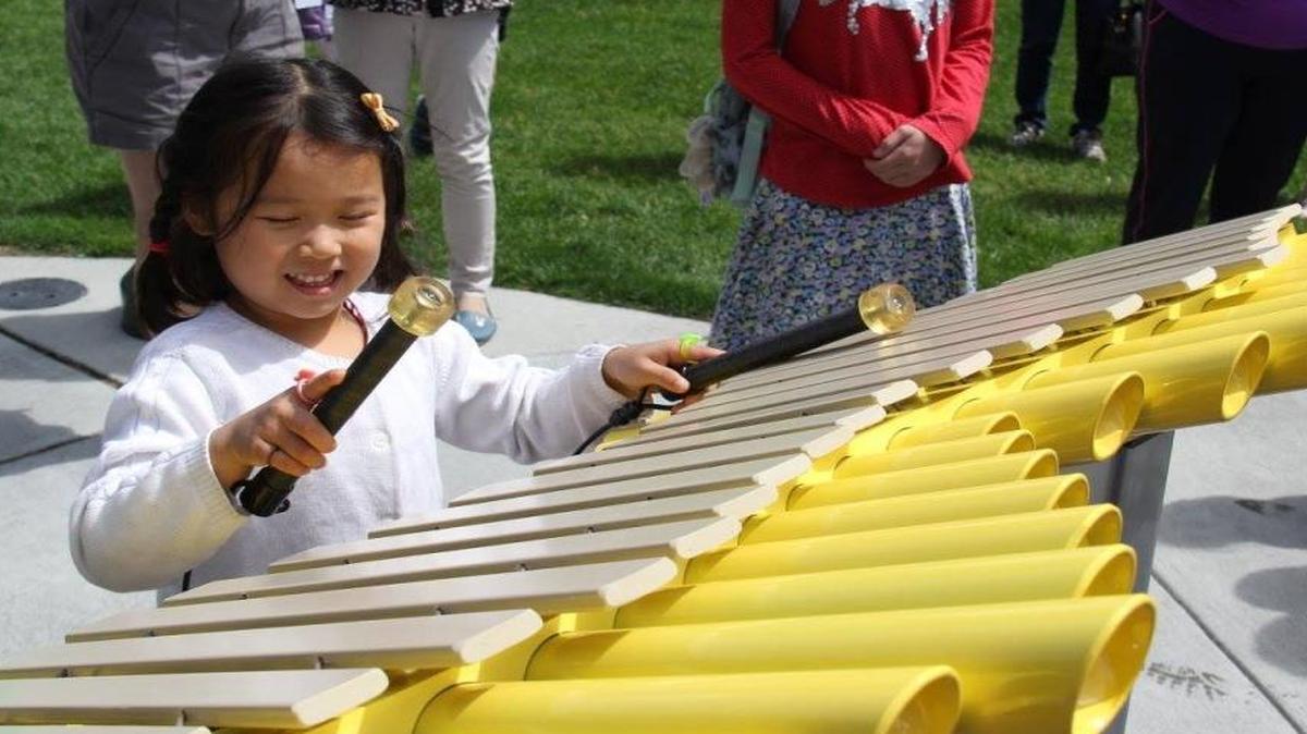 A fundraising campaign kicks off Friday to replace the Imbarimba stolen last year from Howard Amon Park in Richland.