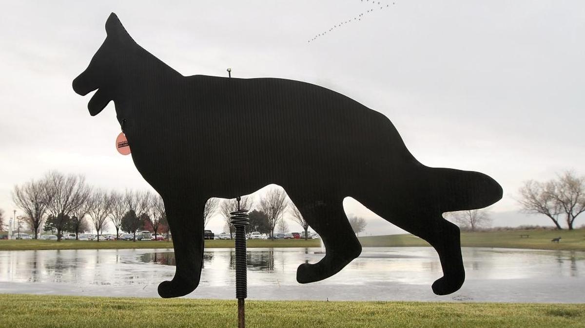 A decoy dog stands guard outside the Laboratory Support Building at the Pacific Northwest National Laboratory in Richland. The plastic cutouts, which rotate in the breeze, were placed near the pond’s walkways a couple months ago to discourage geese because of the mess they leave behind, said PNNL’s Greg Koller. And they appear to be working, he said.