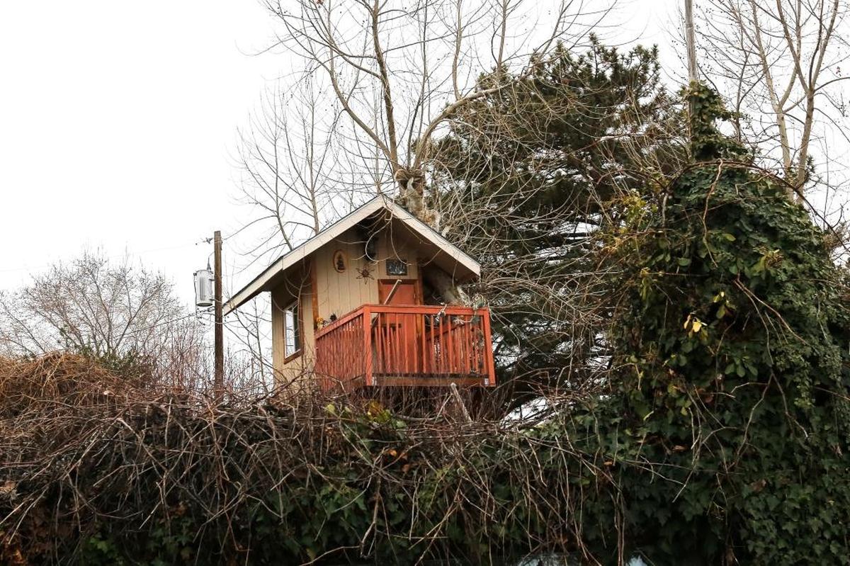 The treehouse Froilan Godines built for his children can be seen in Kennewick while driving down Kennewick Avenue.