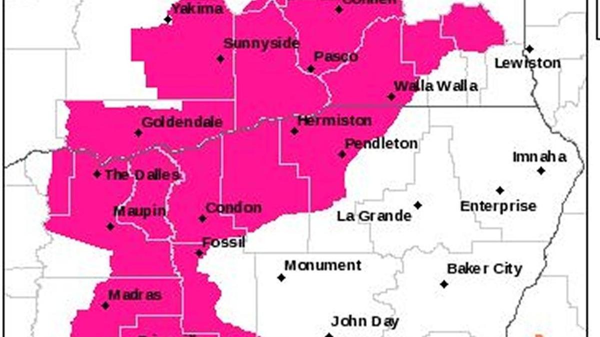A red flag fire warning has been issued for the area in pink from 2 p.m. July 9 to 9 p.m. July 10.
