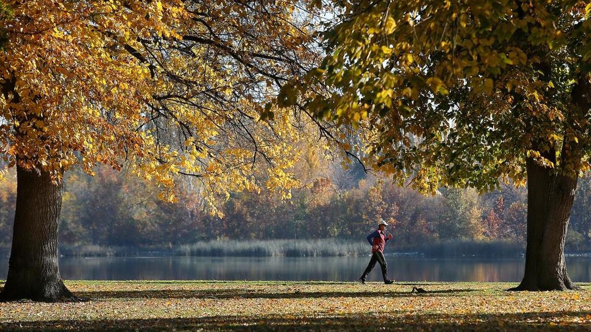 Bright skies illuminate the vibrant fall foliage for joggers, walkers and cyclists using the pathway through Richland Howard Amon Park adjacent to the Columbia River. Crisp cool overnight temperatures and sunny to partly sunny skies are expected through the weekend.
