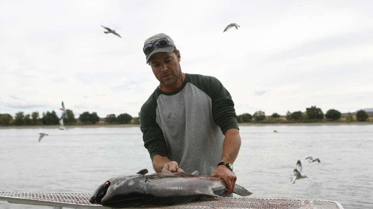 Washington State Department of Fish and Wildlife will hear from Tri-City-area residents before the 2017 salmon seasons are set.