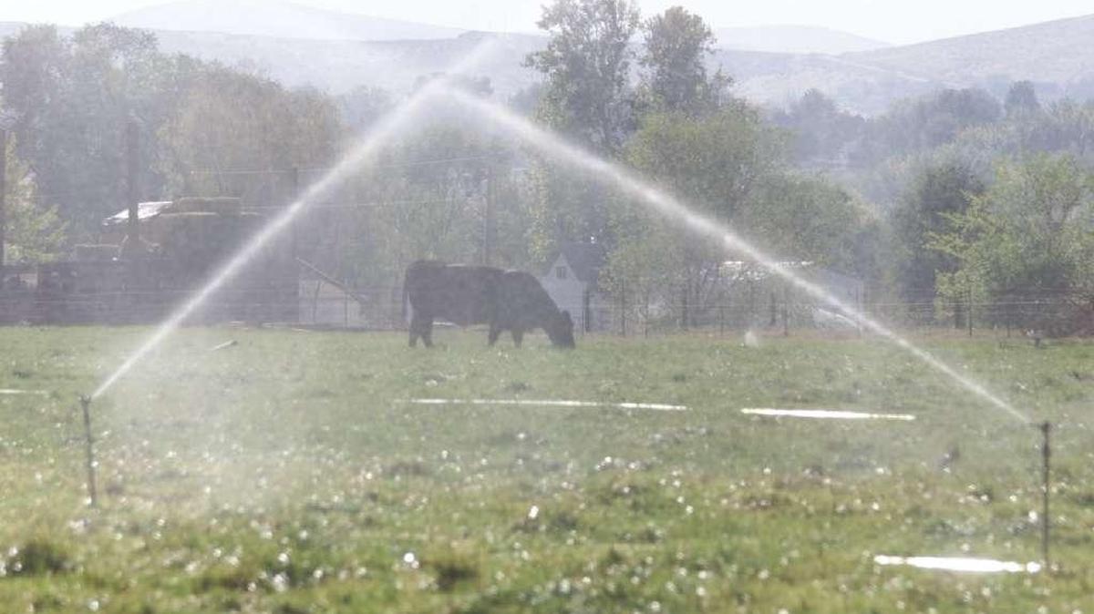 All water users who depend on the Yakima River are expected to receive their full water right allotment this year.