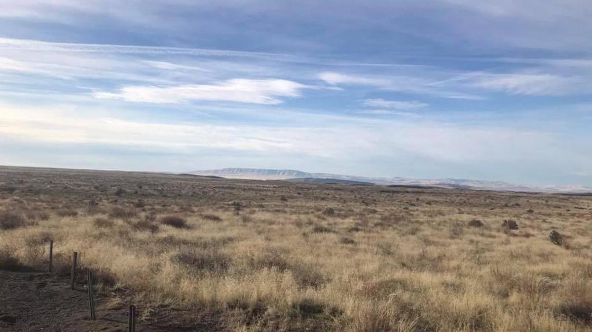 The Franklin County Sheriff’s Office says a 60-year-old Richland man became lost while hunting overnight in the White Bluffs area.
