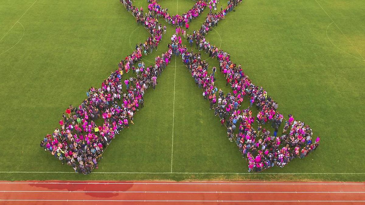 
The students at Southridge High School, many wearing bright pink clothing, stand in the shape of a breast cancer ribbon Thursday morning outside on the Kennewick school's athletic field. The large group photo was part of the school’s Pink Week activities coinciding with national Breast Cancer Awareness Month.
