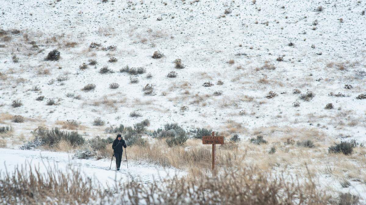 Silvia Estrada, 56, of Seattle, finishes her snowy hike on Badger Mountain in South Richland on Saturday. “I climbed yesterday,” Estrada said. “I woke up again today and thought ‘right on!’ I’m going to hike it again in the snow.” The early morning snowstorm left about an inch of snow across the region. Slick roads caused several crashes in the area. The National Weather Service is predicting a 10 to 20 percent chance of more snow Sunday.