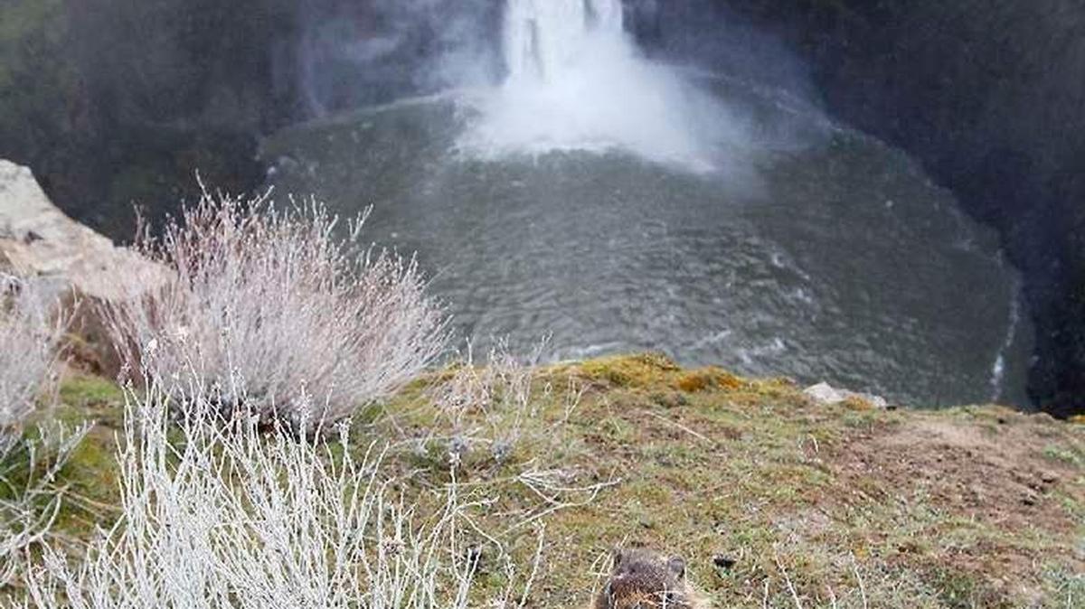 A swimmer failed to surface at Palouse Falls in Franklin County on Sunday.