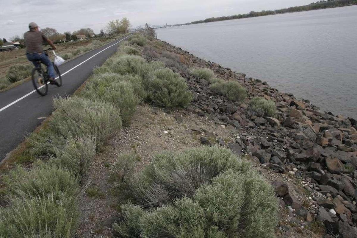 A levee along the Columbia River in Pasco. The levees are maintained by the Army Corps of Engineers.